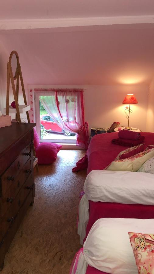 Le Loft Au-Dessus Des Pins Apartment Lacanau Luaran gambar