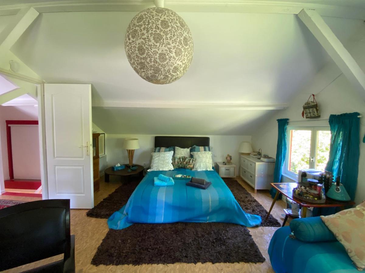 Le Loft Au-Dessus Des Pins Apartment Lacanau Luaran gambar
