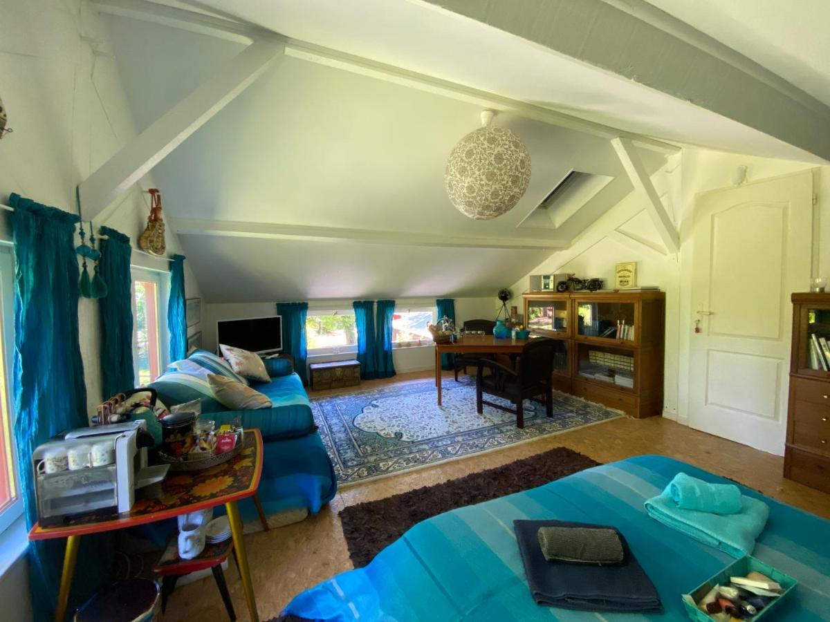 Le Loft Au-Dessus Des Pins Apartment Lacanau Luaran gambar