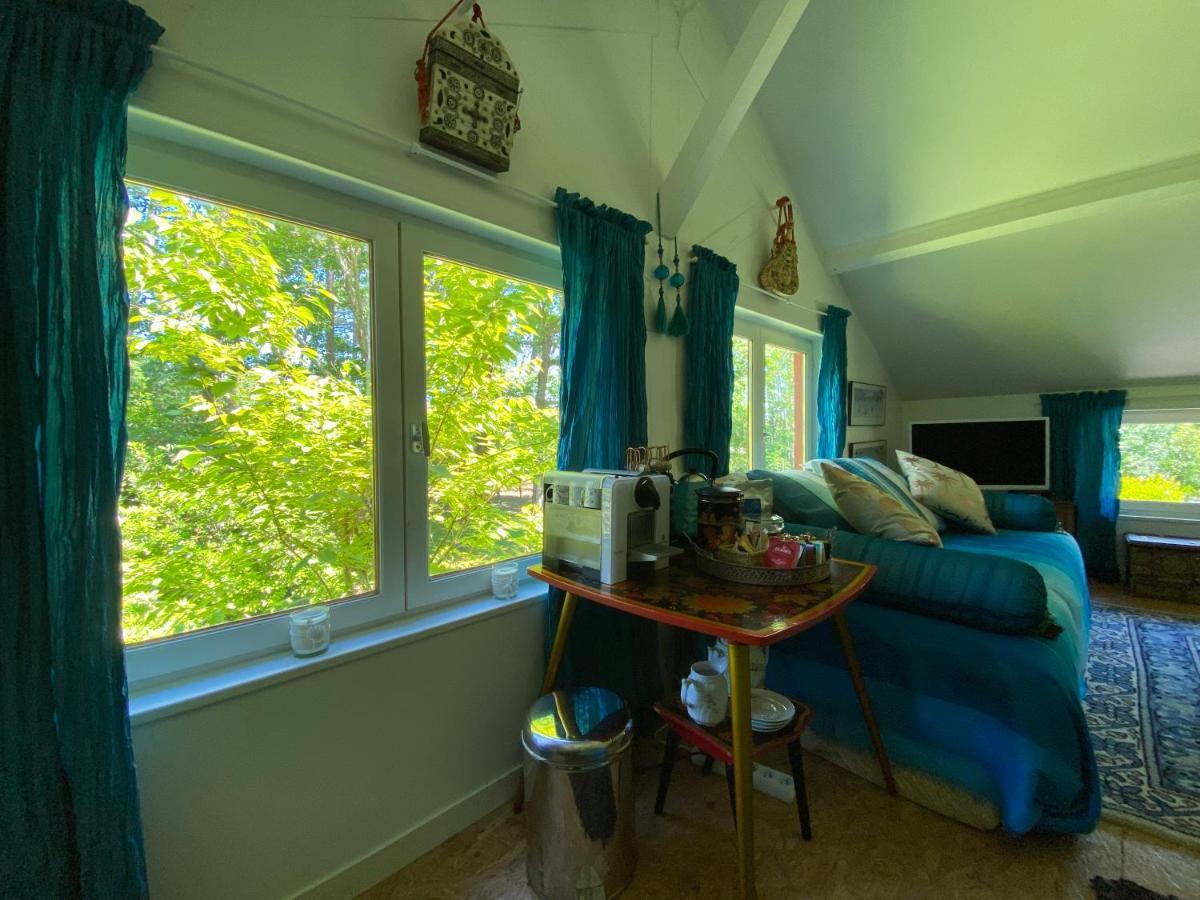 Le Loft Au-Dessus Des Pins Apartment Lacanau Luaran gambar