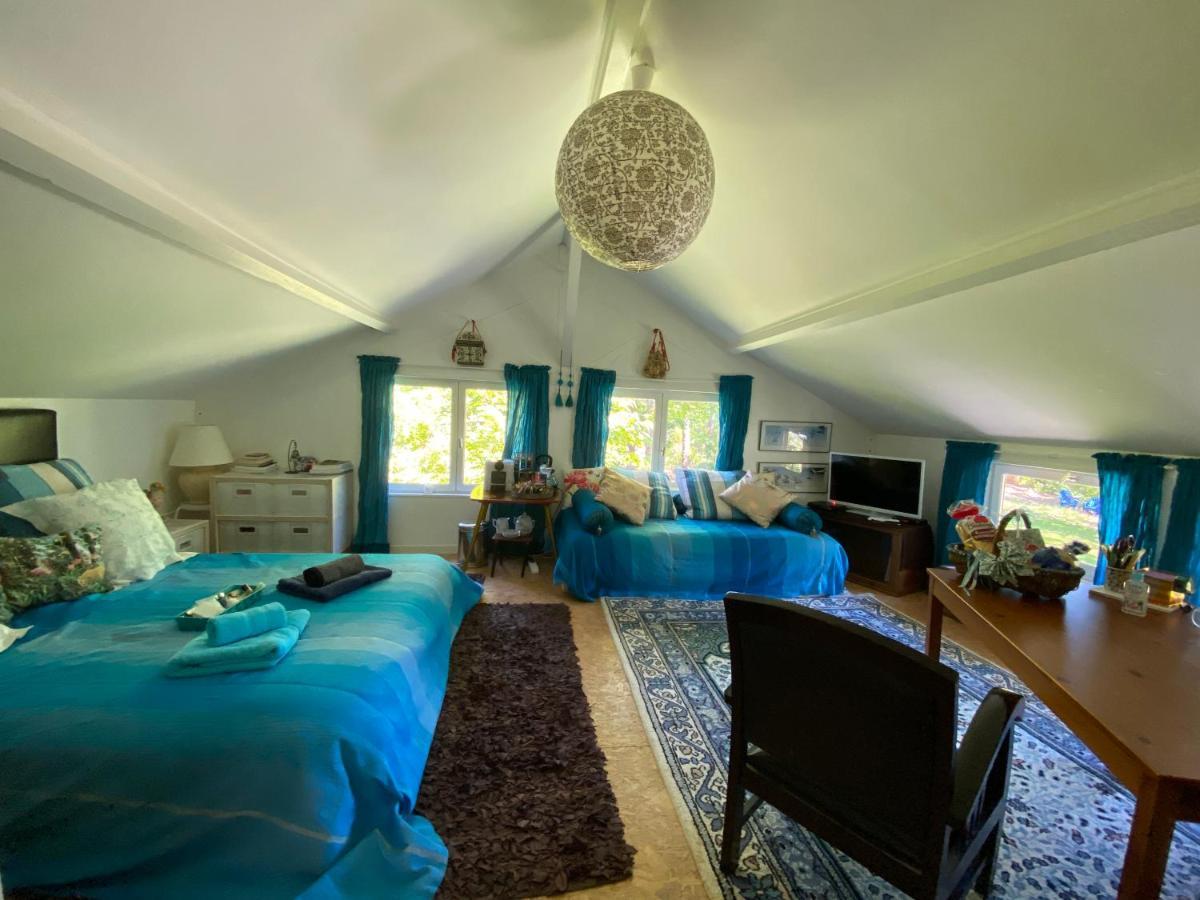 Le Loft Au-Dessus Des Pins Apartment Lacanau Luaran gambar