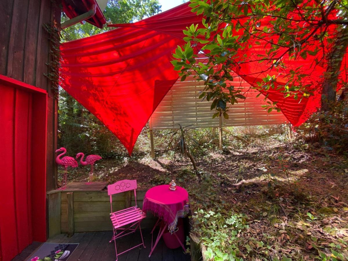 Le Loft Au-Dessus Des Pins Apartment Lacanau Luaran gambar