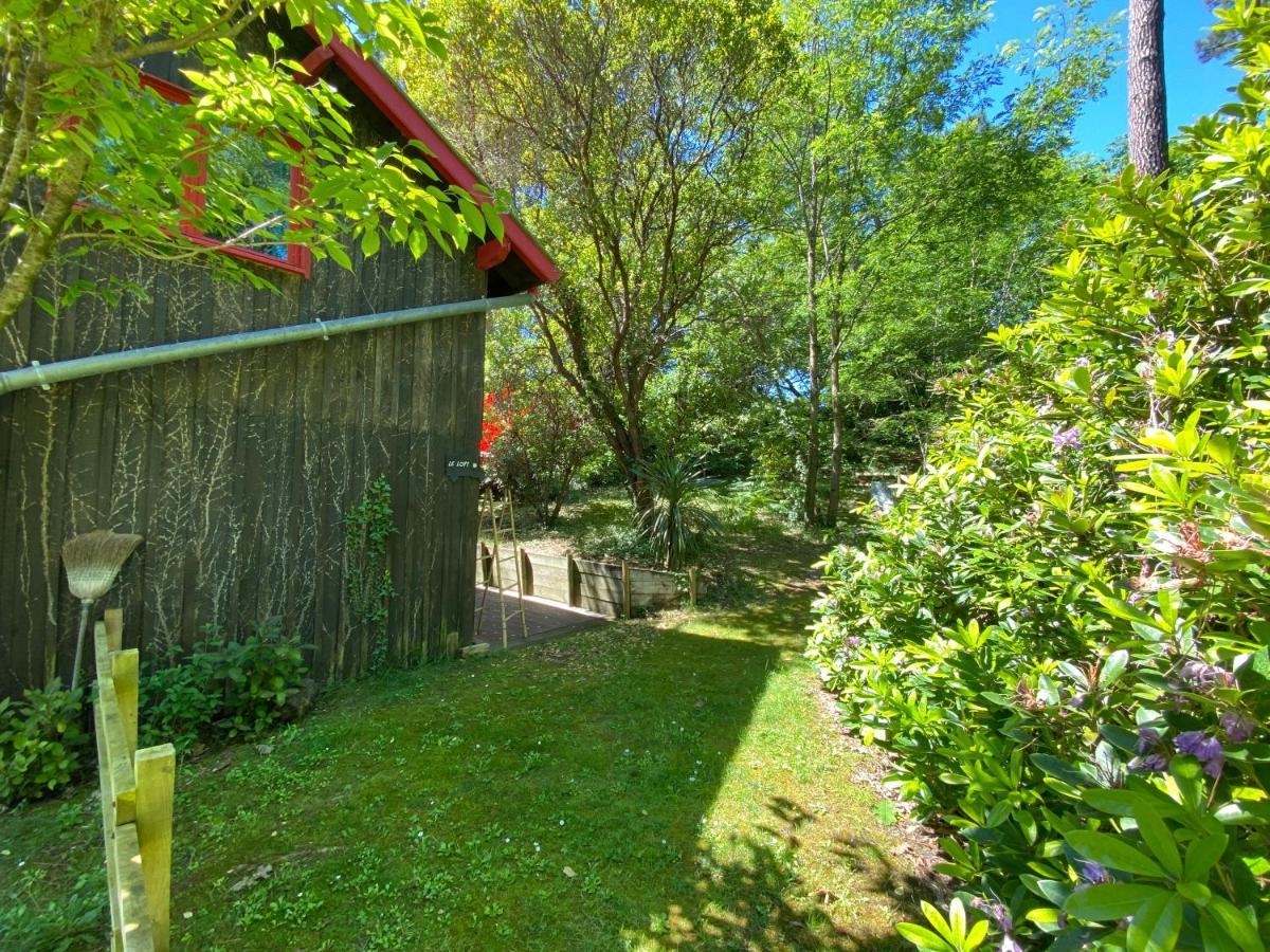 Le Loft Au-Dessus Des Pins Apartment Lacanau Luaran gambar