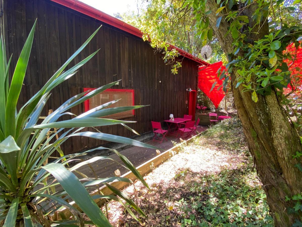 Le Loft Au-Dessus Des Pins Apartment Lacanau Luaran gambar