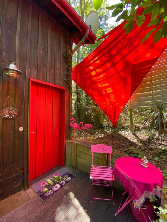 Le Loft Au-Dessus Des Pins Apartment Lacanau Luaran gambar