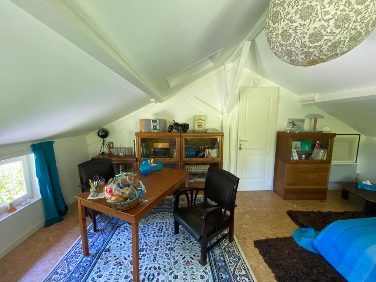 Le Loft Au-Dessus Des Pins Apartment Lacanau Luaran gambar