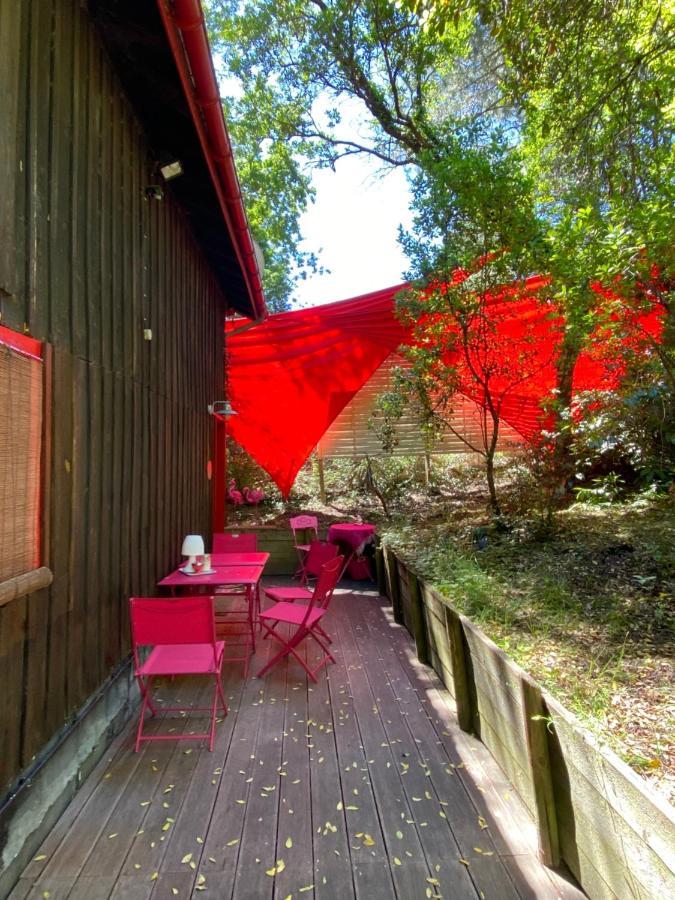 Le Loft Au-Dessus Des Pins Apartment Lacanau Luaran gambar