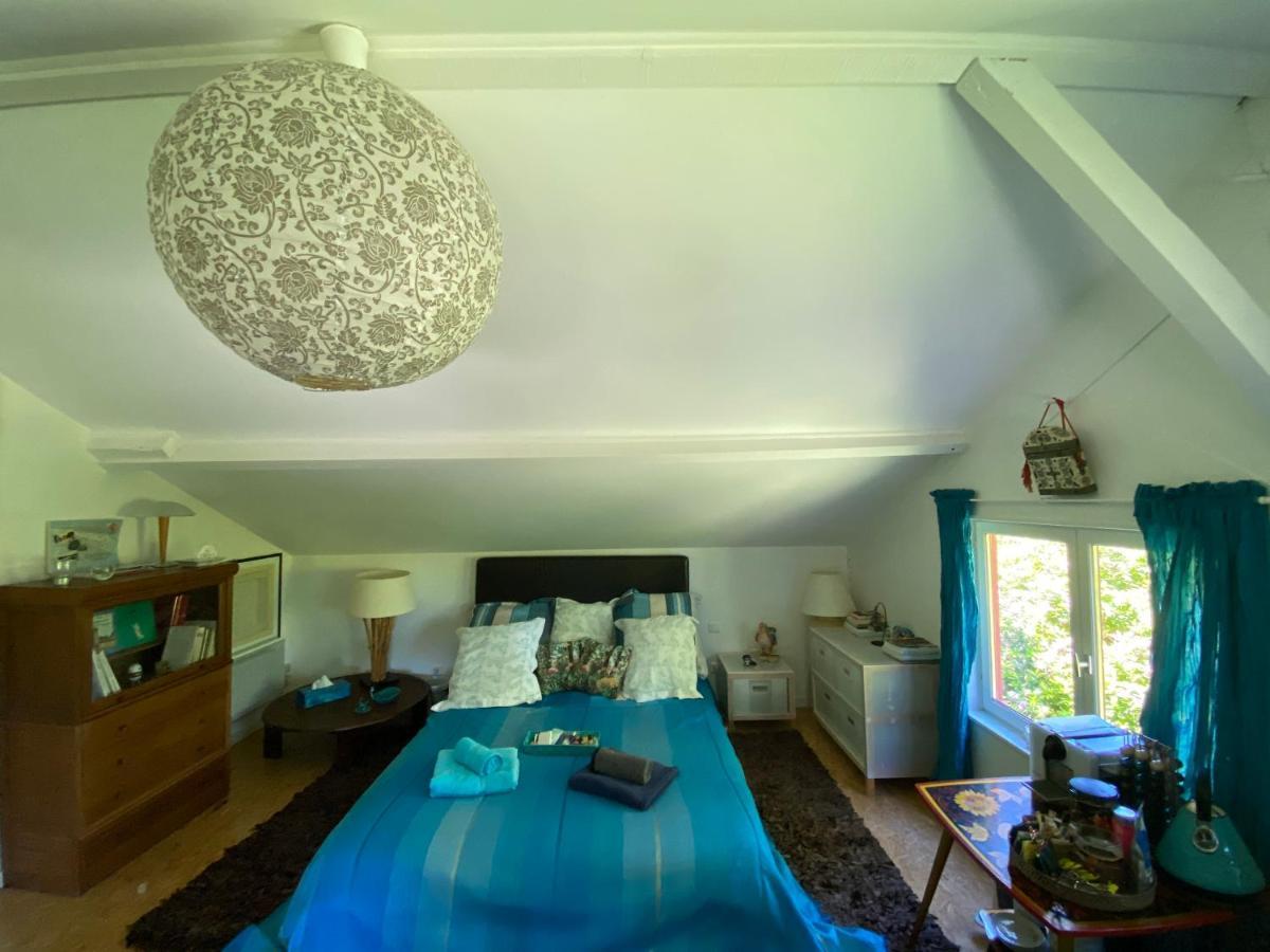 Le Loft Au-Dessus Des Pins Apartment Lacanau Luaran gambar