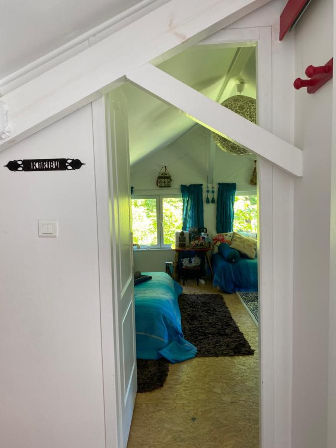 Le Loft Au-Dessus Des Pins Apartment Lacanau Luaran gambar